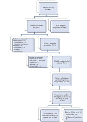 Breast Milk Cytokines and Early Growth in Gambian Infants